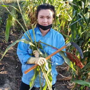 东北小莉莉莉