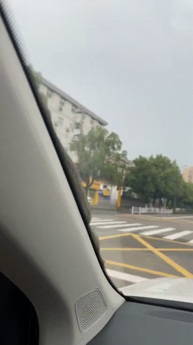吓死人！浙江杭州，一男子早上开车时，突然一条一米多长的大蛇“从天而降”掉到前挡风