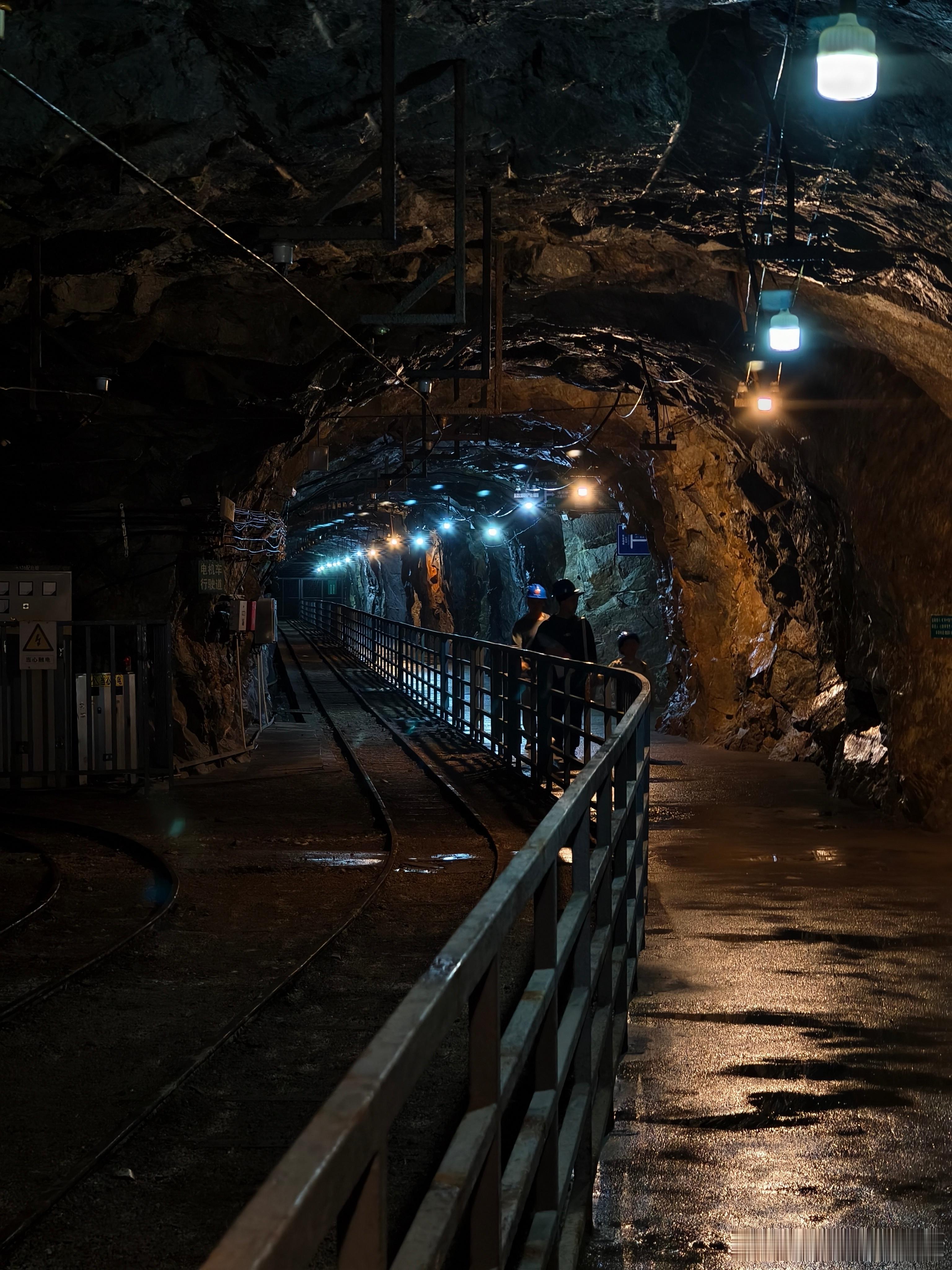 当黄金矿工的一天 ​​​