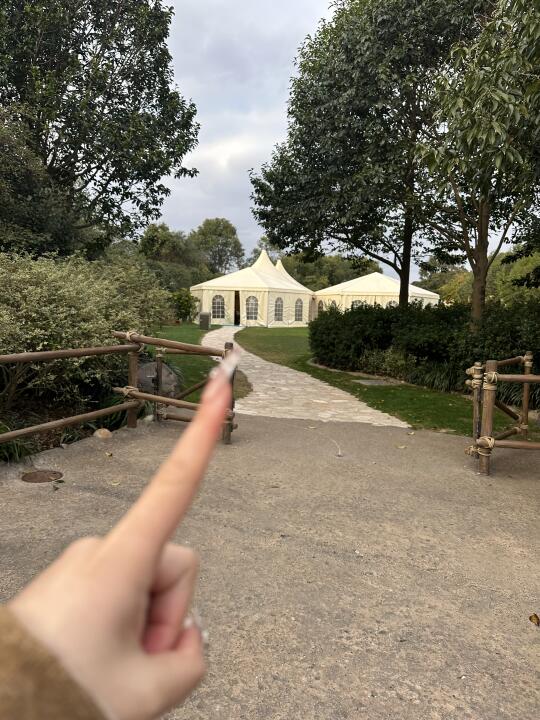 记住迪士尼这个帐篷。。能救你一命！