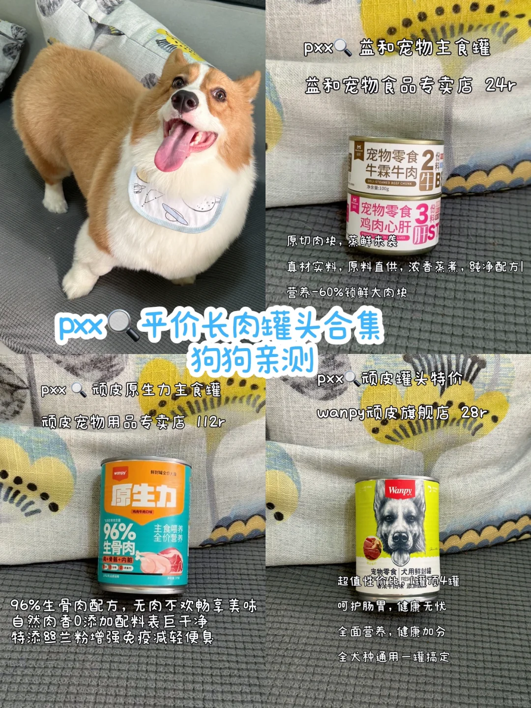 九个月37斤的狗狗吃什么罐头❓
