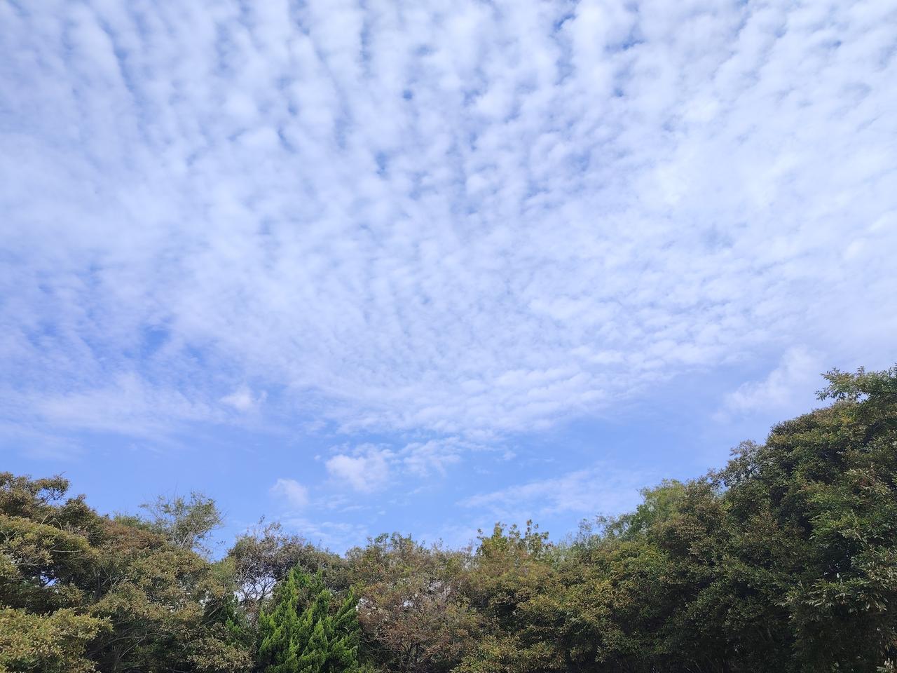 大北风+大降温要来青岛了！据@青岛气象最新消息预报，受冷空气影响，从明天（9月8