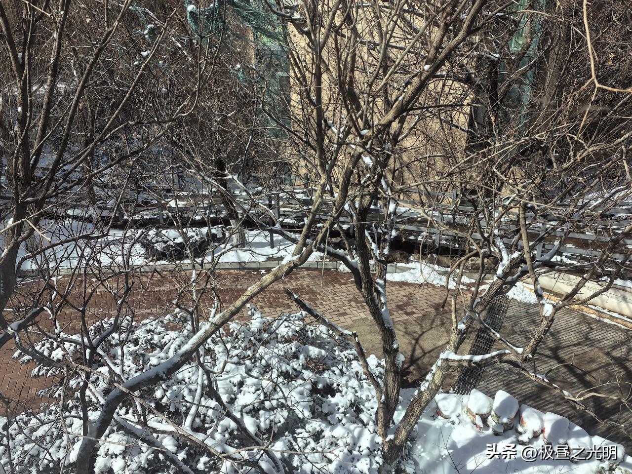 随意下场雪

在南方，随意就下场雨；在北方，随意就可下场雪。

3月17日温度已