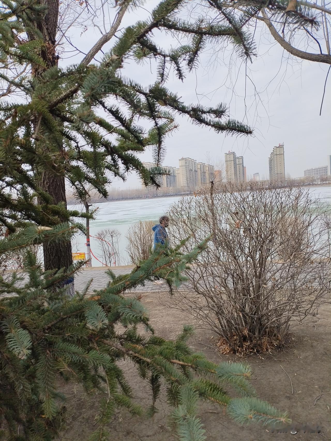 南湖春色
一汪碧水湖上冰，
波浪翻卷荡春风。
影影绰绰楼倒映，
请续句……
（大