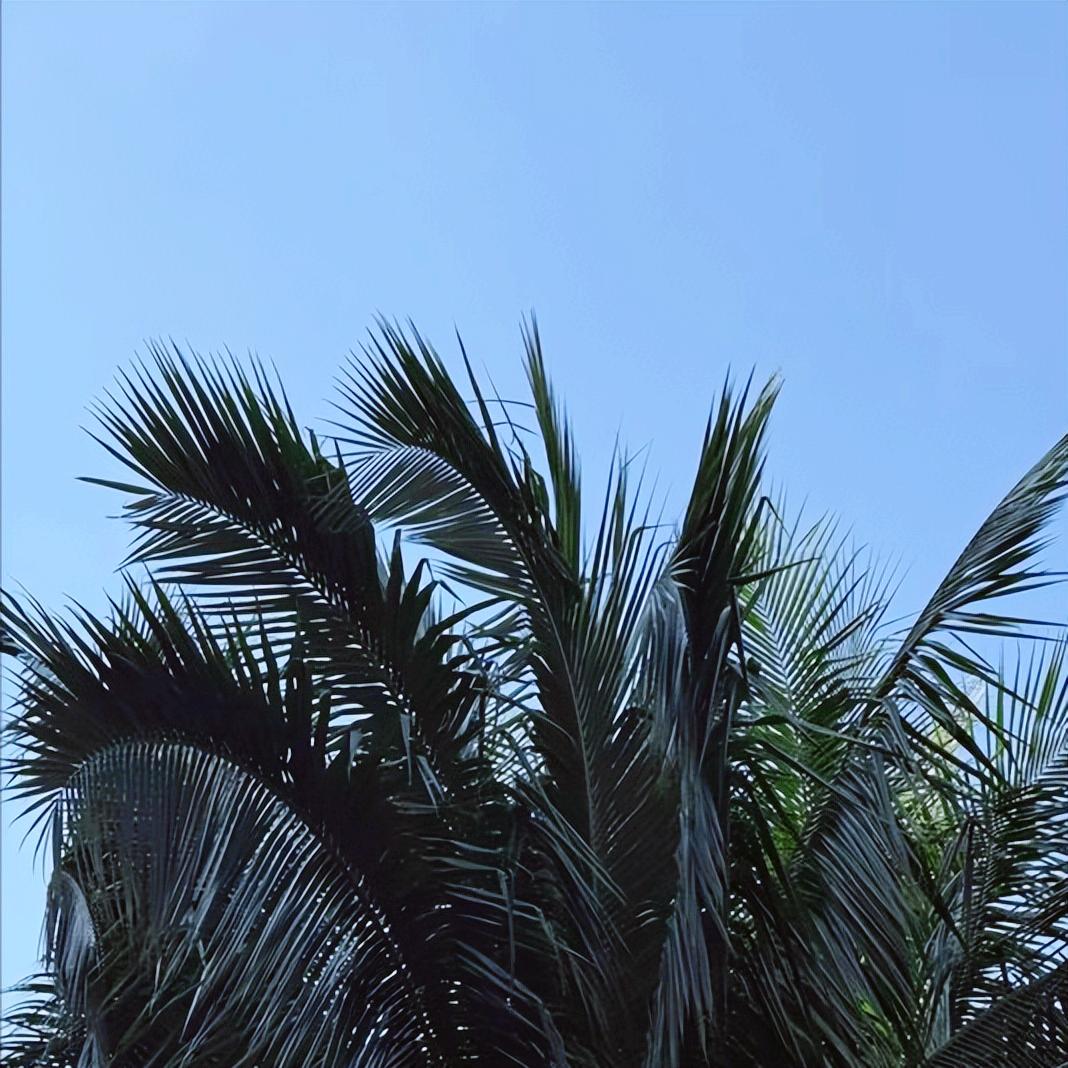 中戏郝戎的新闻   今天公开披露
 
今天10:00，中戏郝戎的新闻，媒体公开披