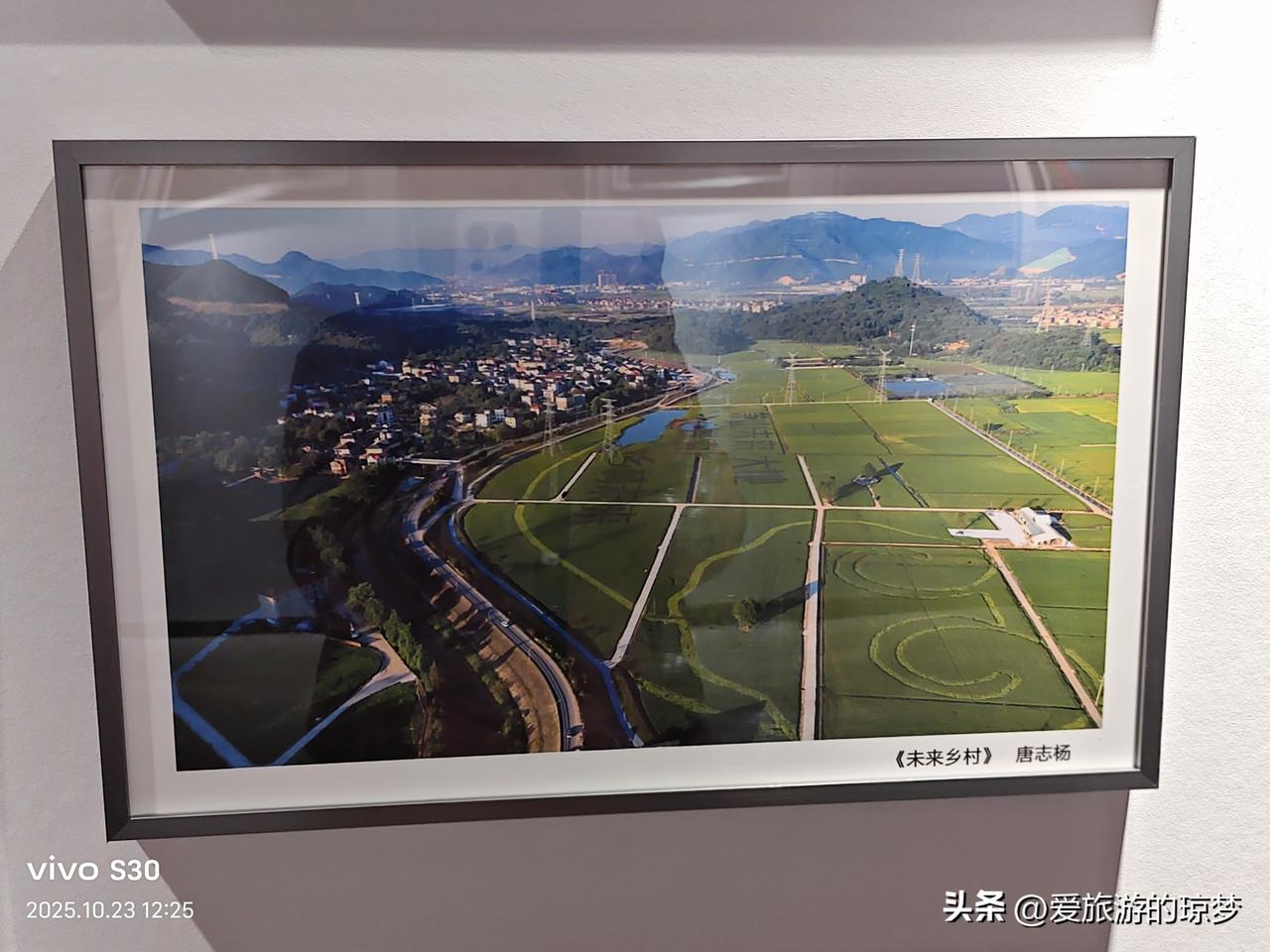 冬日生活打卡季