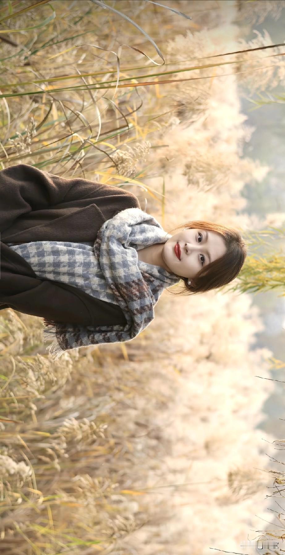 芦苇秋风里，藏着飞燕般的娇盈与西施， 娇若飞燕，艳胜西施，美过貂蝉，倾过玉环，芦