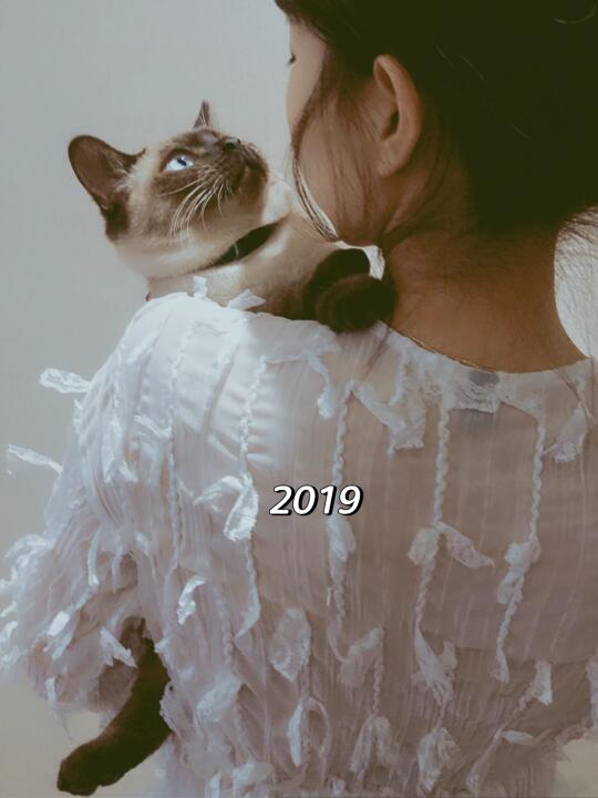 有的小猫抱着抱着就长大了🥰