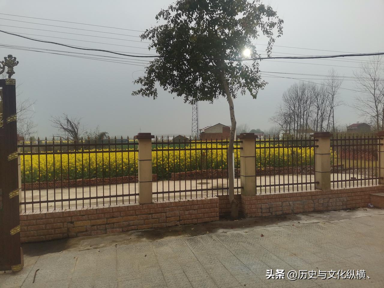 油菜花开，小树又葱绿，乡村静谧安详，春天悄悄来到。