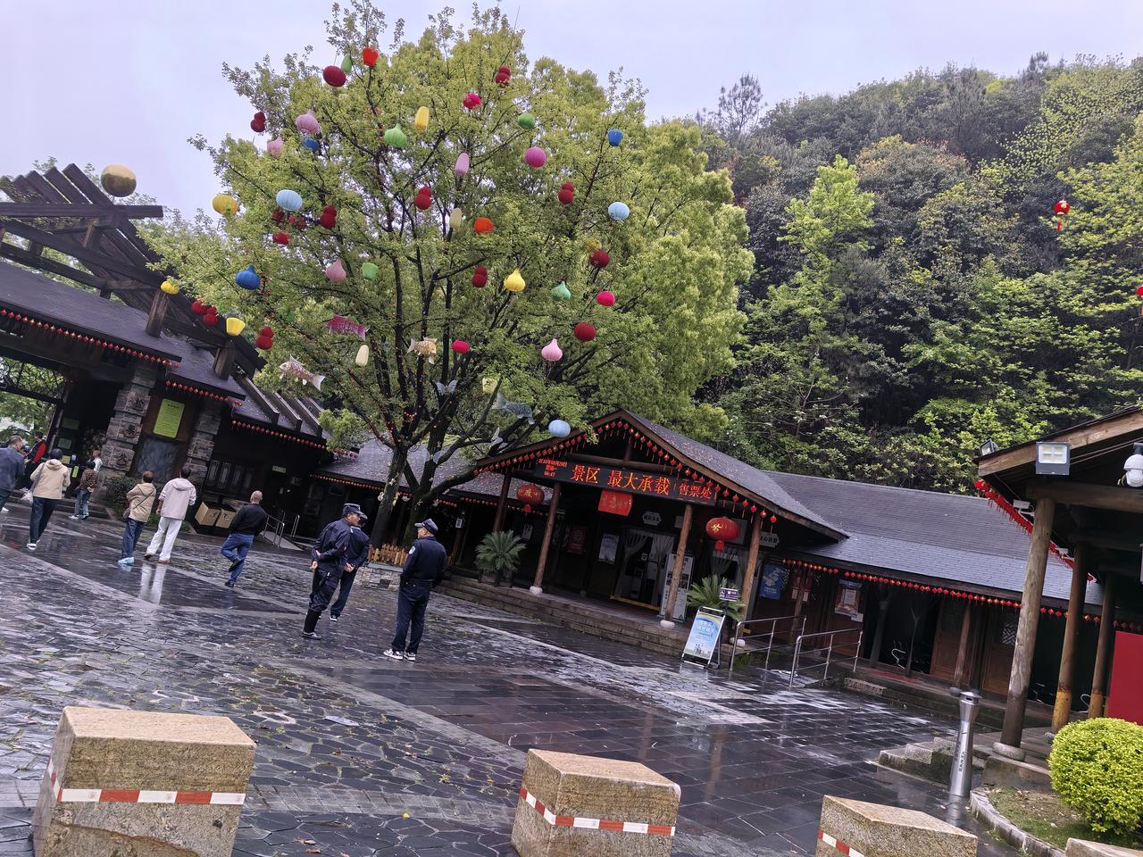 种地很累！金华的神美峡喊我去休闲几天！

昨天，把长豆黄瓜种子突击埋进了地。
