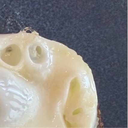 每日一善  生活从来不会辜负每一个认真往前走的人—正能量生活感悟清晨七点的巷口总