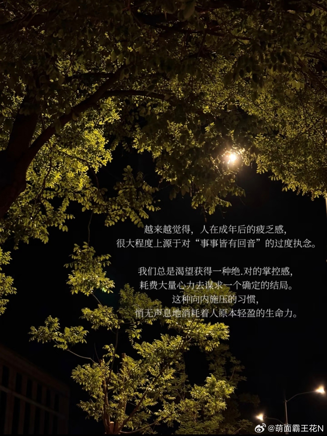阳光信用阳光信用 每日一善 人生来就是孤独的，不要奢望能够依靠谁，哪怕是至亲至爱