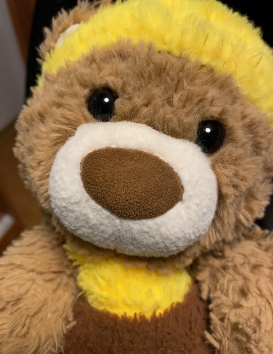 熊熊生活报告
最近工作比较忙，很少带蜜蜜它们了，平时不在家就给蜜蜜外公带，小熊子