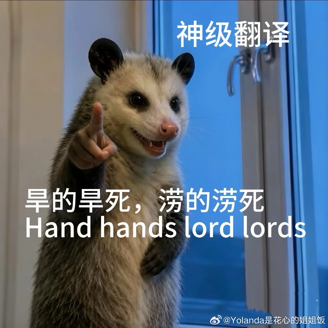 哈哈哈哈哈哈哈