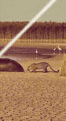 对于日本和尚来说

寺庙是工作单位，袈裟是工作服，念经文只是业务，上班的时候可以