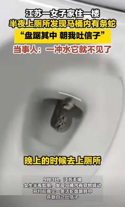 江苏，女子半夜起床上厕所，不料，刚坐上马桶，就感觉下面有东西，她起身打开灯，被吓