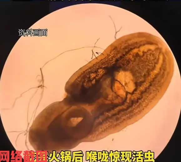 湖北襄阳有女子和朋友吃火锅。

女子喜欢牛肉嫩一点的口感，每次在涮牛肉的时候也只