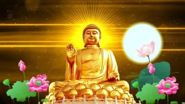 放大心胸，才无烦恼；
开阔思想，方增德学。
~~星云法师🙏