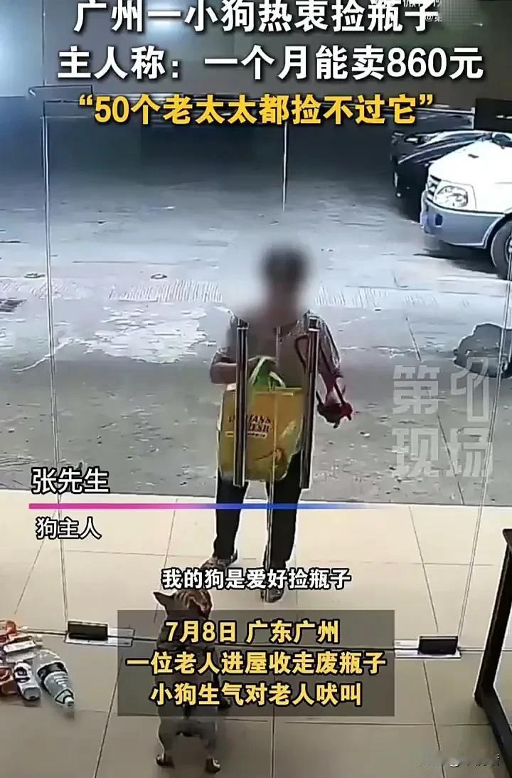 太神奇了！7月8日，广东广州一名男子发视频称，自己养的小狗很喜欢捡瓶子，一个月能