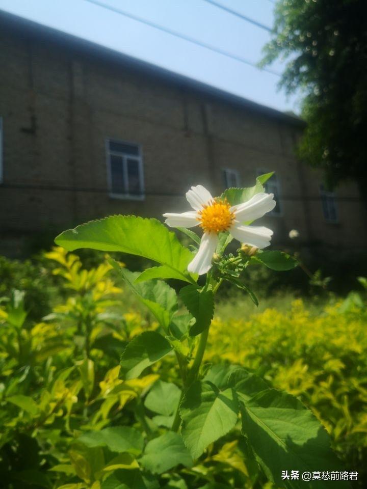 像这无知的爸爸，这么放纵儿子，早晚害了儿子。一男子，和前妻有一个女儿，离婚时，女