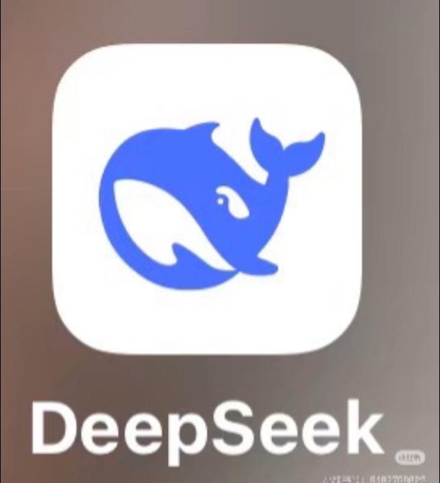 记者对deepseek创始人梁文锋的采访录音