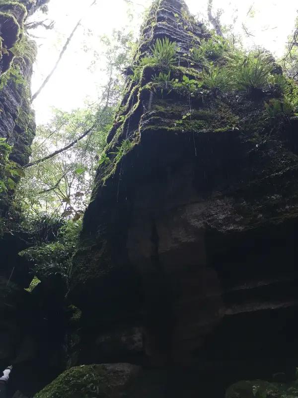 千尺水深终有底
千层山峻自含根
解析：
山水彼此对应，“千尺”与“千层”相匹，“