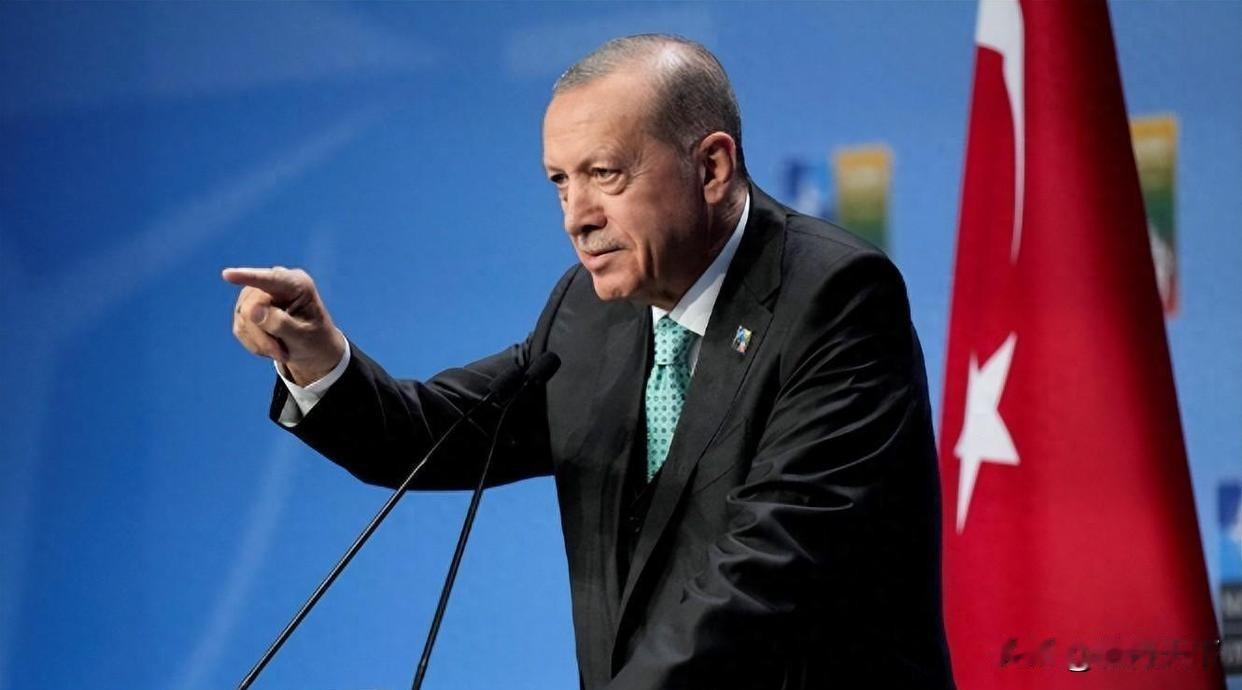 内塔尼亚胡遇麻烦！土耳其发逮捕令指控种族灭绝，37名高官全上榜

来源:尘埃落地