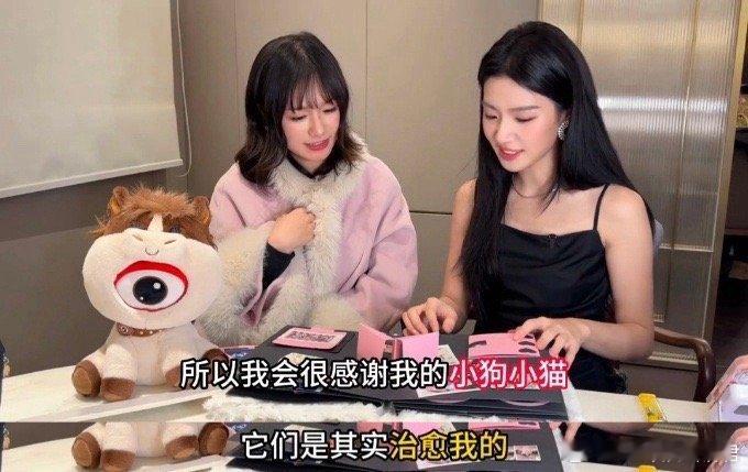 卢昱晓说小狗小猫是我的精神支柱 片场再累，撸一把猫狗就能回血！卢昱晓把宠物带在身