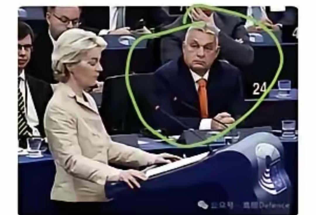 眼睁睁看着这群土匪般的行径，他满心只剩无奈，还有咽不下的委屈与不甘！欧盟径直绕开