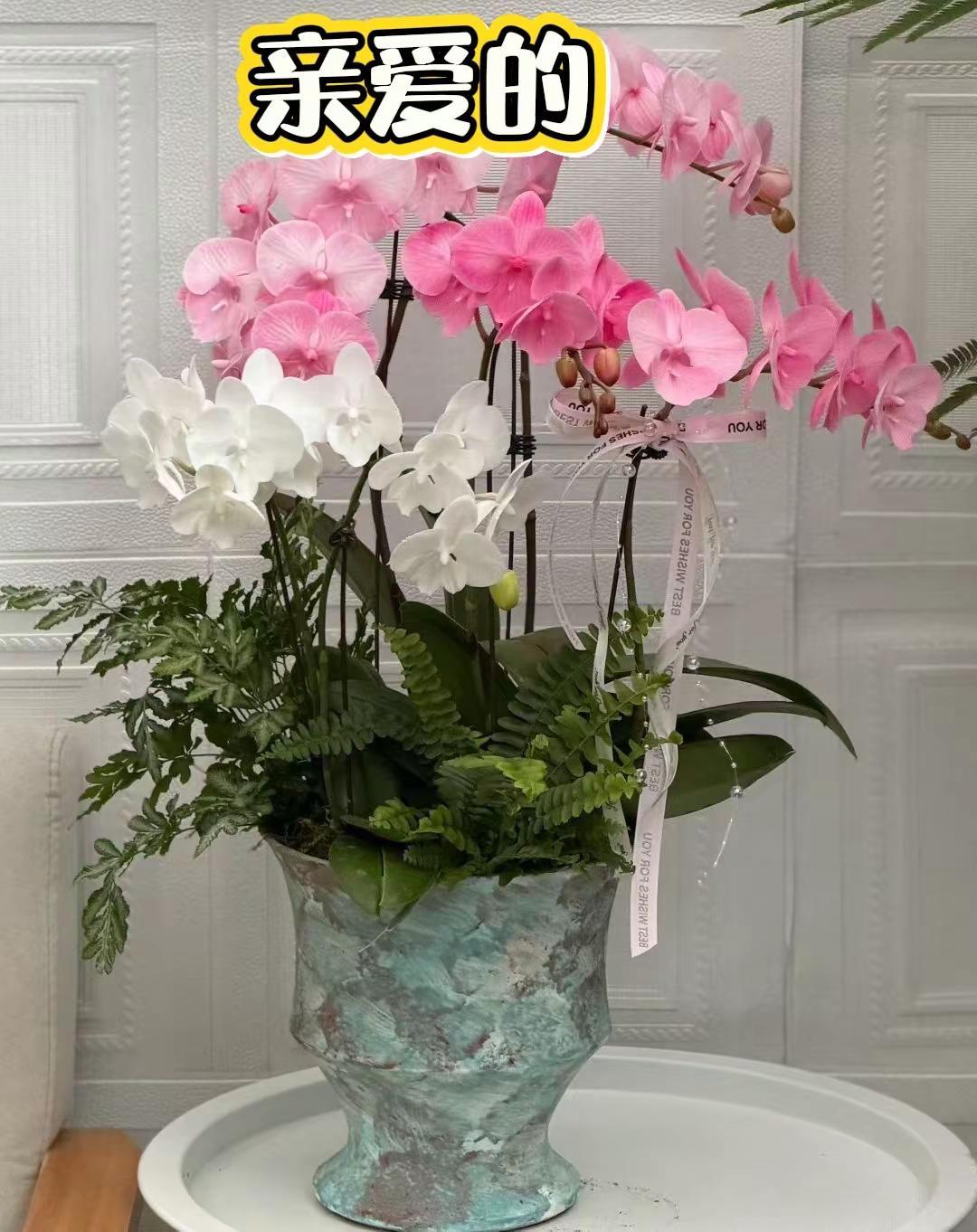 生活美学不止于花 美不美你说了算