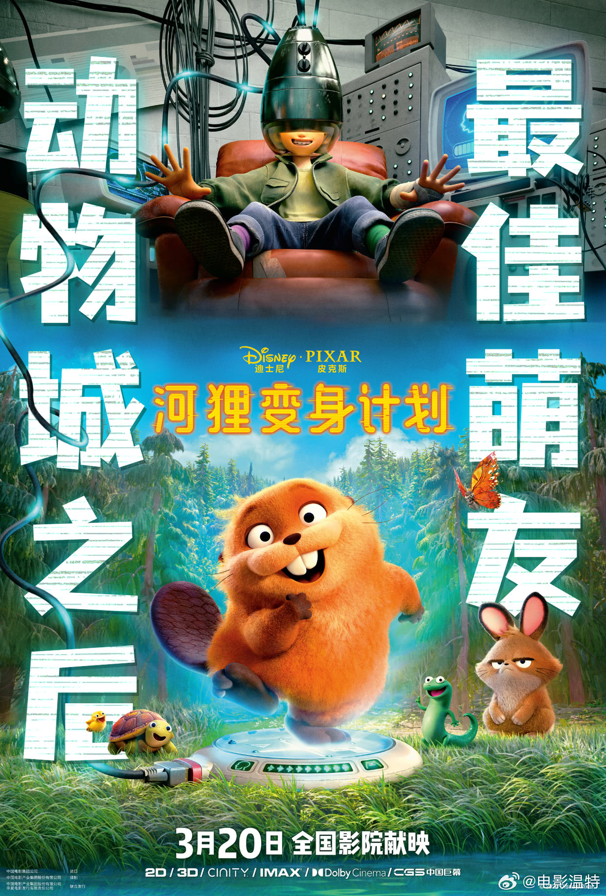 昨晚听听温特怎么说直播间有粉丝提到《河狸》热度很高?《河狸》热度一般吧想看才5万