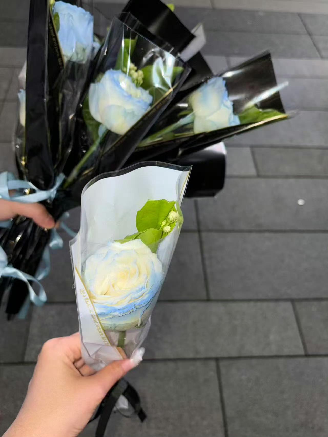 白鹿特意为hi6应援粉丝准备了150支花白鹿给为hi6应援的粉丝准备了150支花