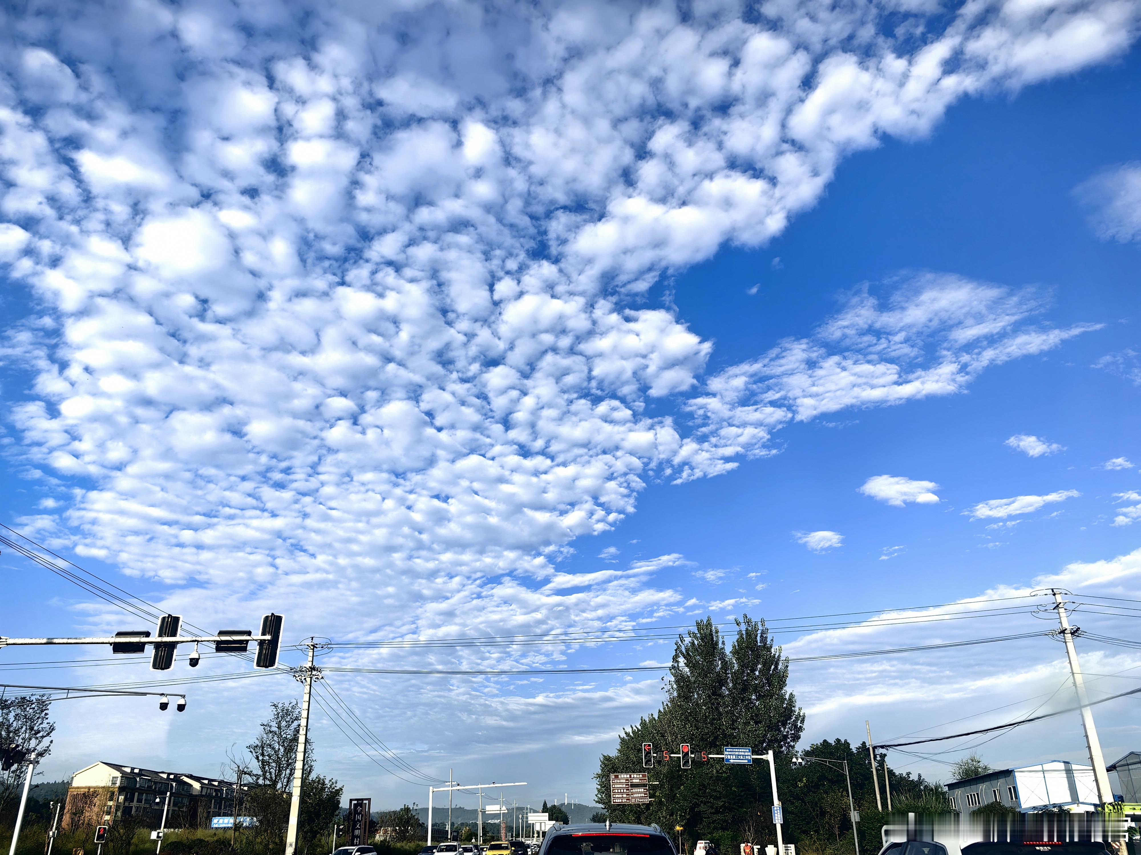 早上好呀～ ​​​