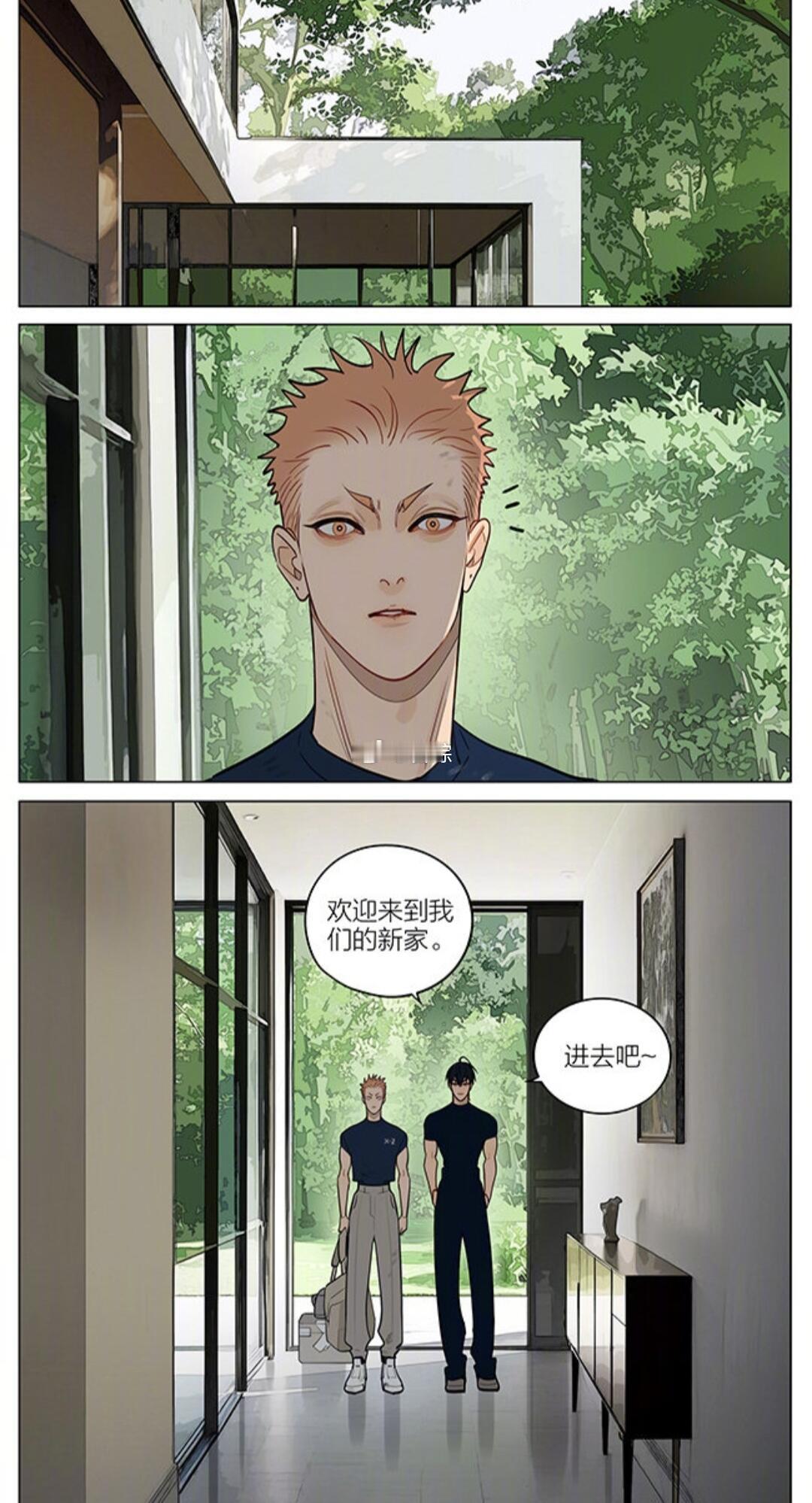 十九天贺天莫仔新家！莫仔真的让我心疼二次元漫画 作者：old先 
