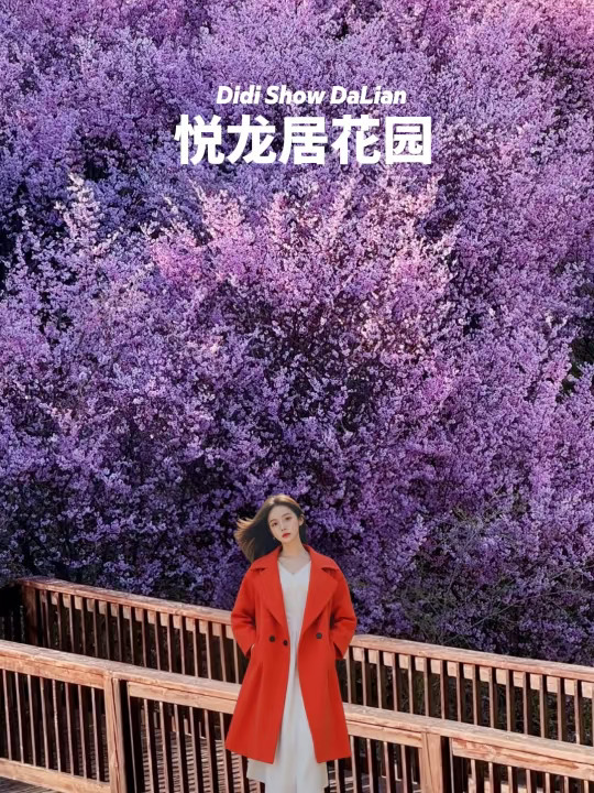 大连悦龙居花园