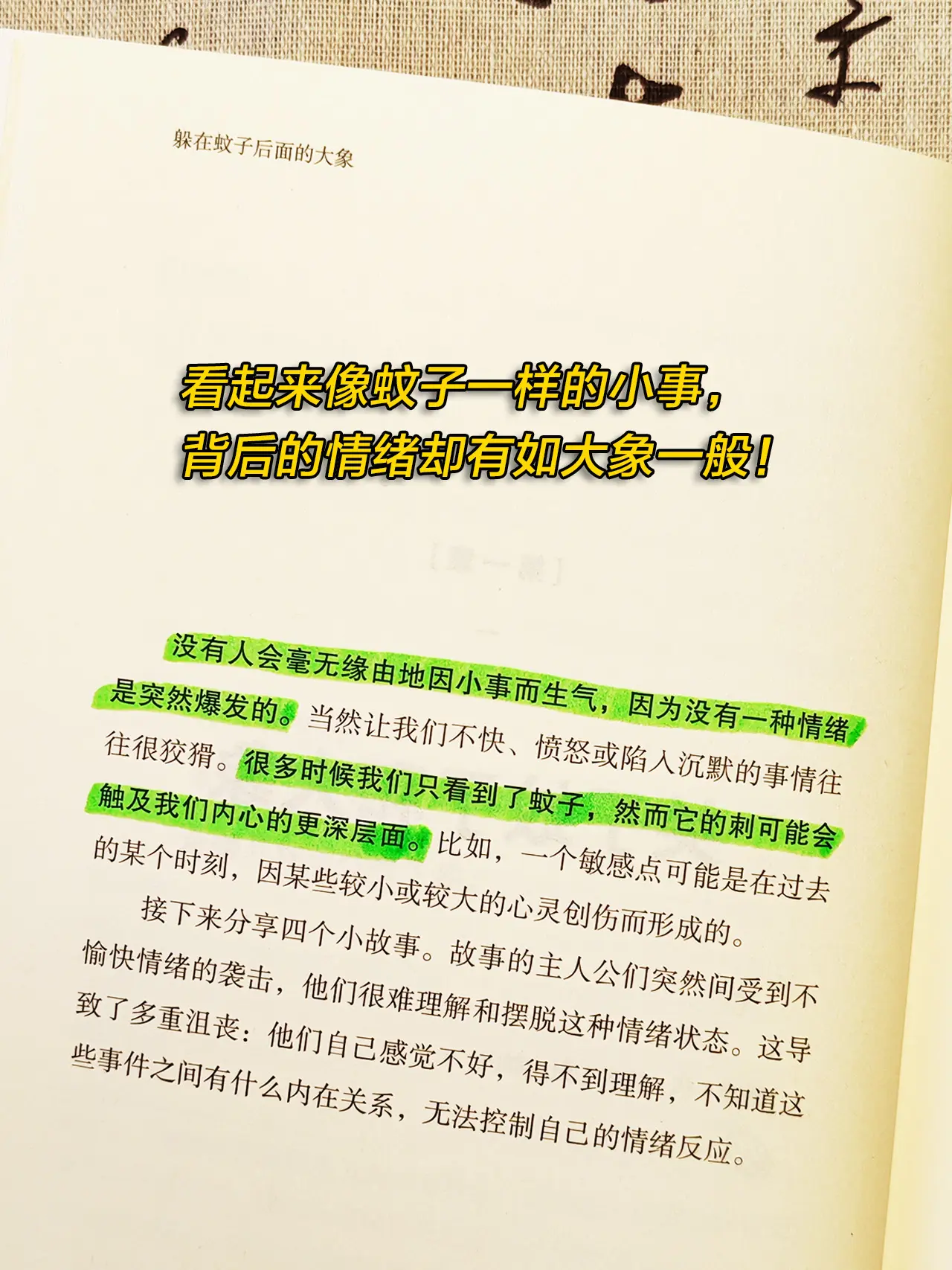 不愧是董宇辉推荐的心理书，读完瞬间被治愈了！ 引起负面情绪的不是蚊子...