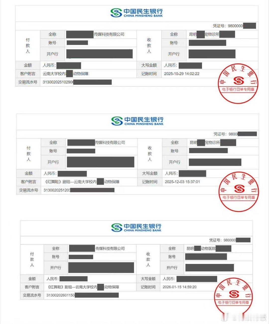 红舞鞋剧组向校园内小动物捐款红舞鞋剧组向云南大学小动物捐款红舞鞋剧组向校园内小动