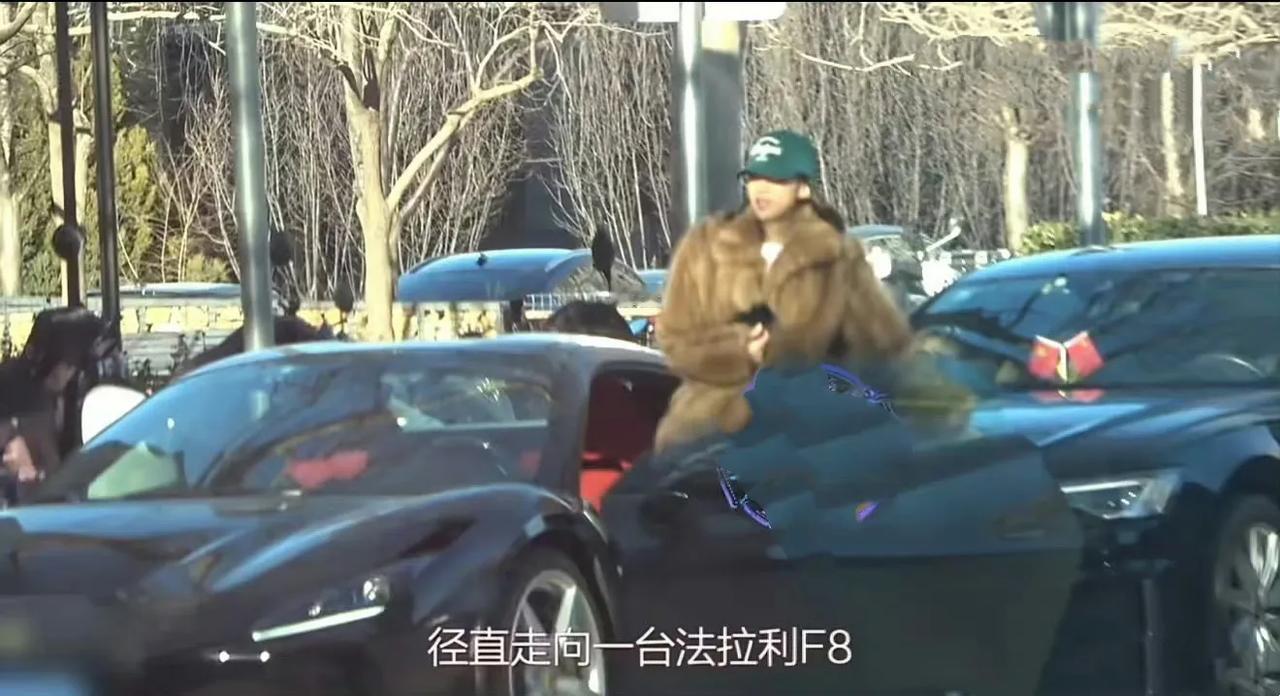 孙怡为交通违规道歉！
2026年1月8日，孙怡被拍到驾驶法拉利F8（价值约400