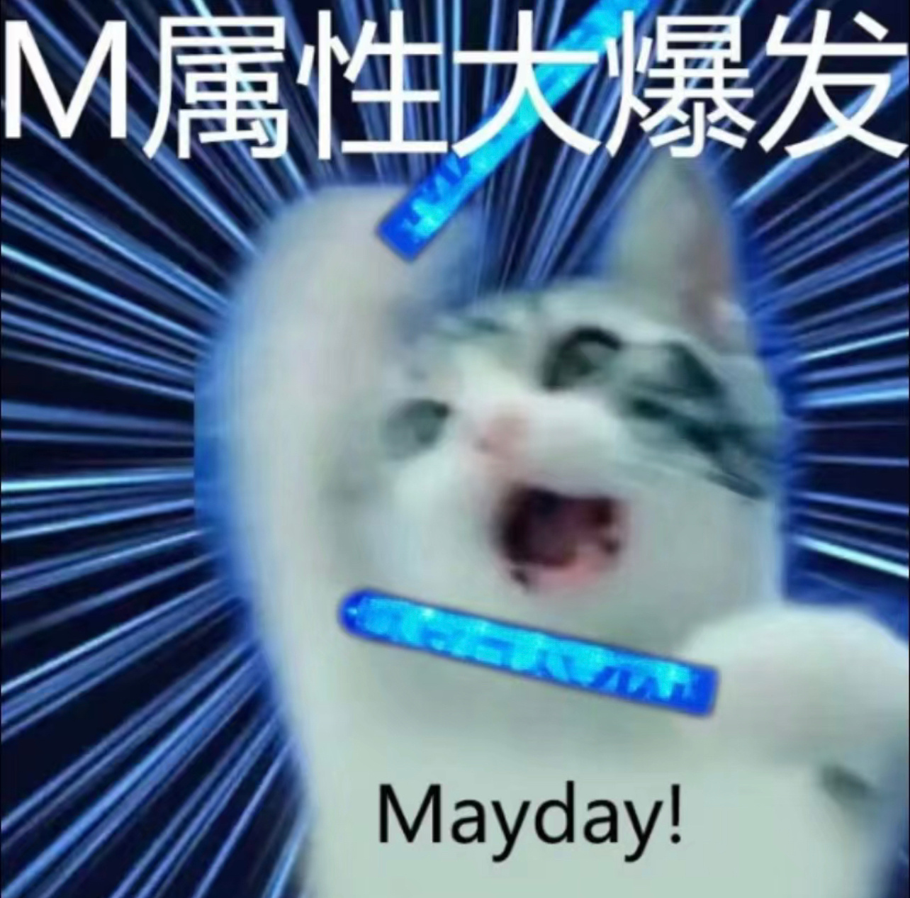 我喜欢五月天，我自己喜欢就行，我管你喜不喜欢，也不需要安利你。然后这是我自己的微
