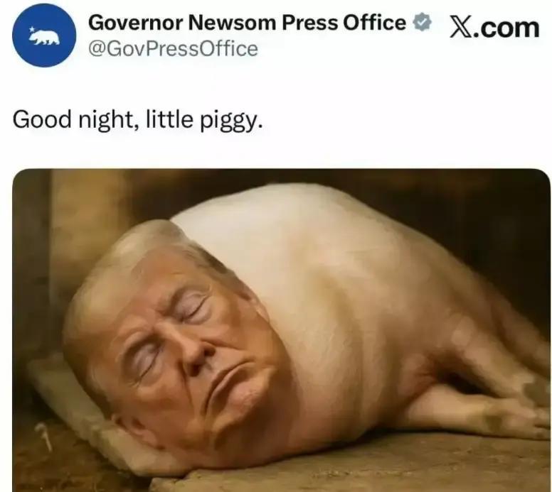 快讯！快讯！
纽森把特朗普P成猪，这种在美国政坛一点都不稀奇。你要是熟悉美国政治