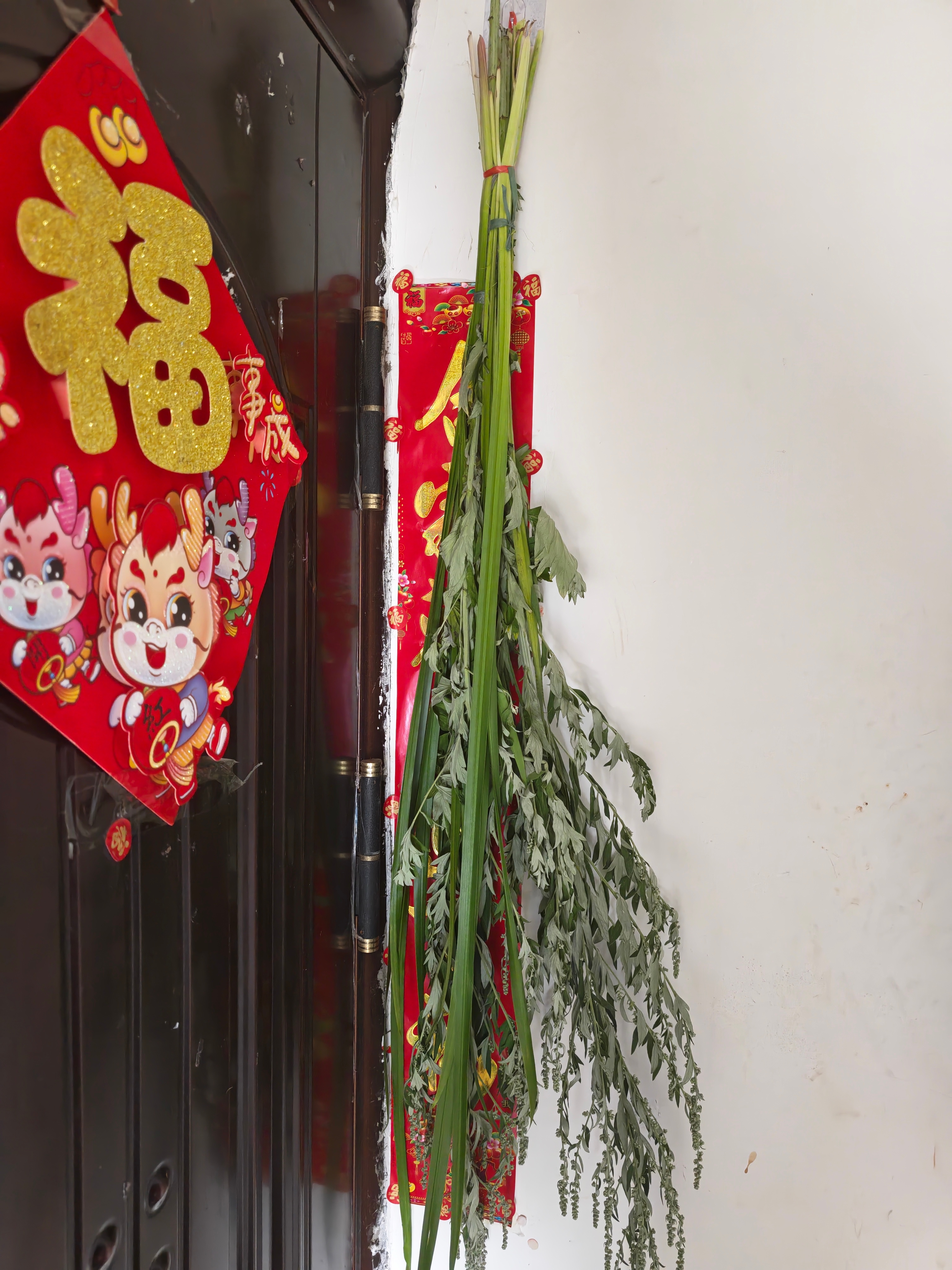 回老家啦，大家那边有挂艾草菖蒲的习俗吗
