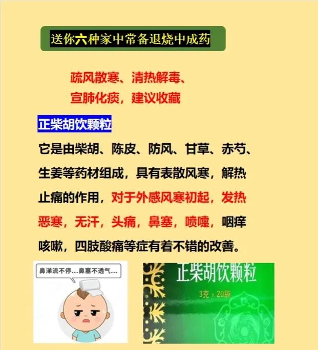 还在为家中孩子或老人发烧而烦恼吗？今天为大家推荐六种家中必备的退烧中成药！

1