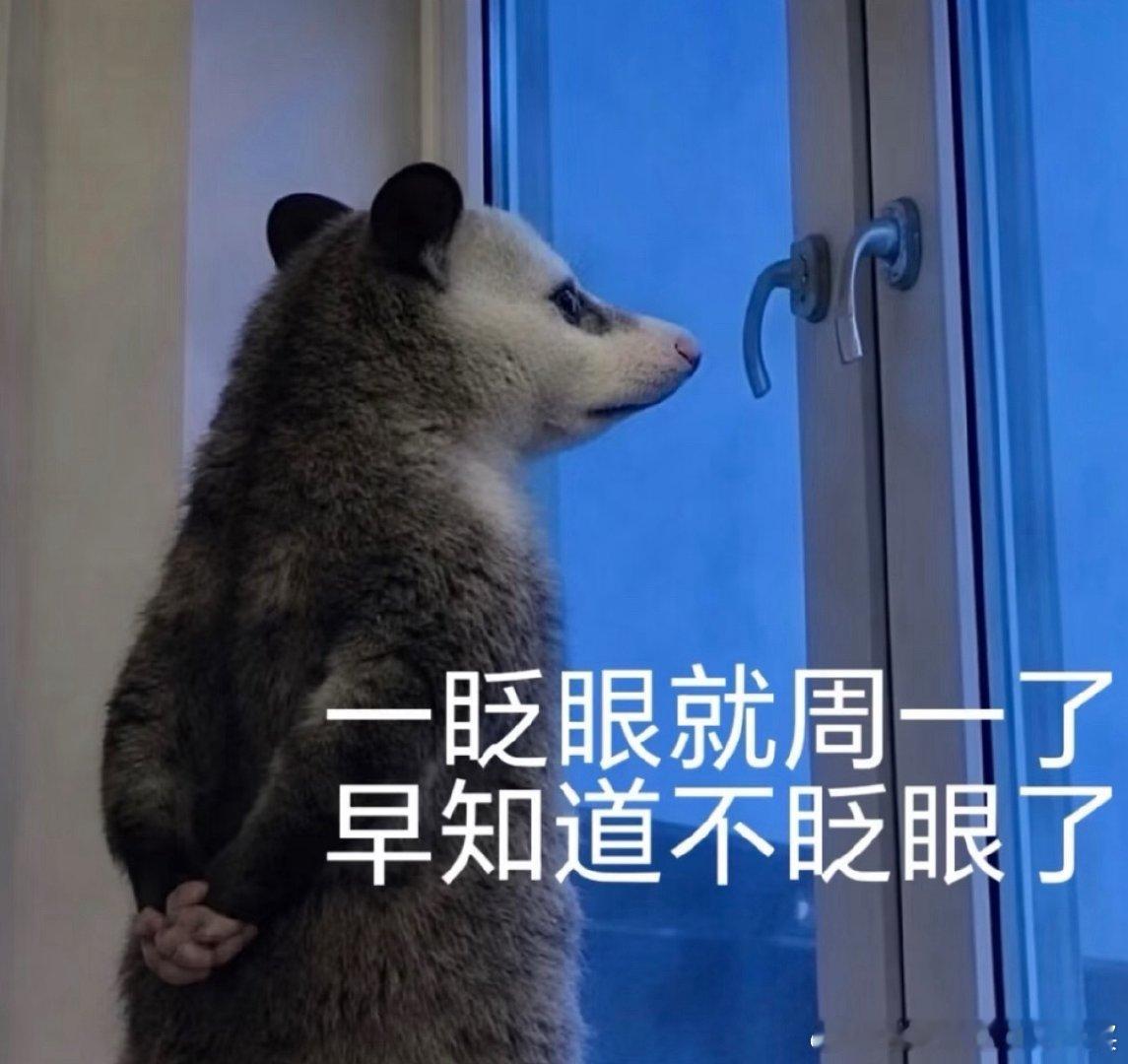 周一早上好各位！！新的一周新的开始了！一切都会超级顺利！越相信自己顺利就会越顺利