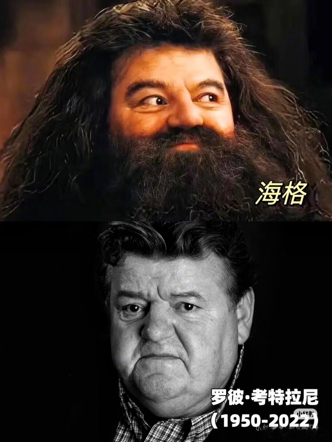 哈利波特这个电影中去世的几十位🧙🏻现实世界留不住他们那就让魔法世界留往他们把