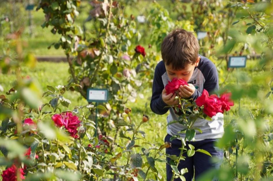 太神奇！这些人体怪象竟藏着进化密码 个个颠覆认知
 
西班牙《世界报》揭秘人体八
