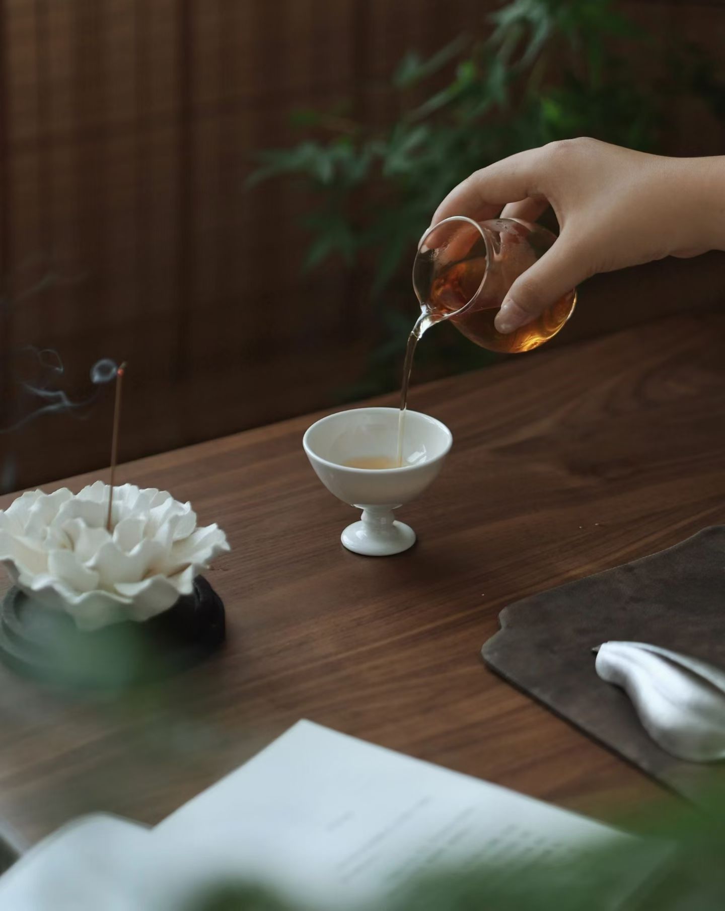 茶道  泡一壶茶🍵，不急着喝，就看着热气一点点散开。风把叶子吹得轻轻响，时间好