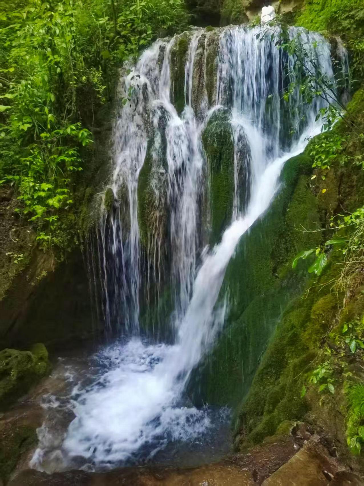 旅行随手拍青山藏幽谷，飞瀑落清潭。清泉顺着苔石奔流而下，满目苍翠清凉治愈，一汪山