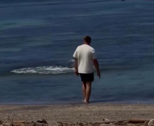 【在美国，一名精神错乱的富人向夏威夷僧海豹——世界上最稀有的海洋哺乳动物之一——