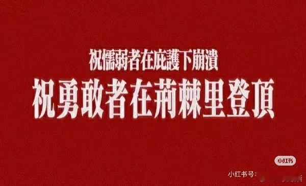 “勇敢者在荆棘里登顶，懦弱者在庇护下崩溃”，这句原来是🎲妈的文案？😂别说，写