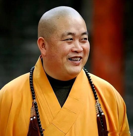 释永信被判24年2003年至2025年，单独或者伙同他人非法侵占单位财物人民币1